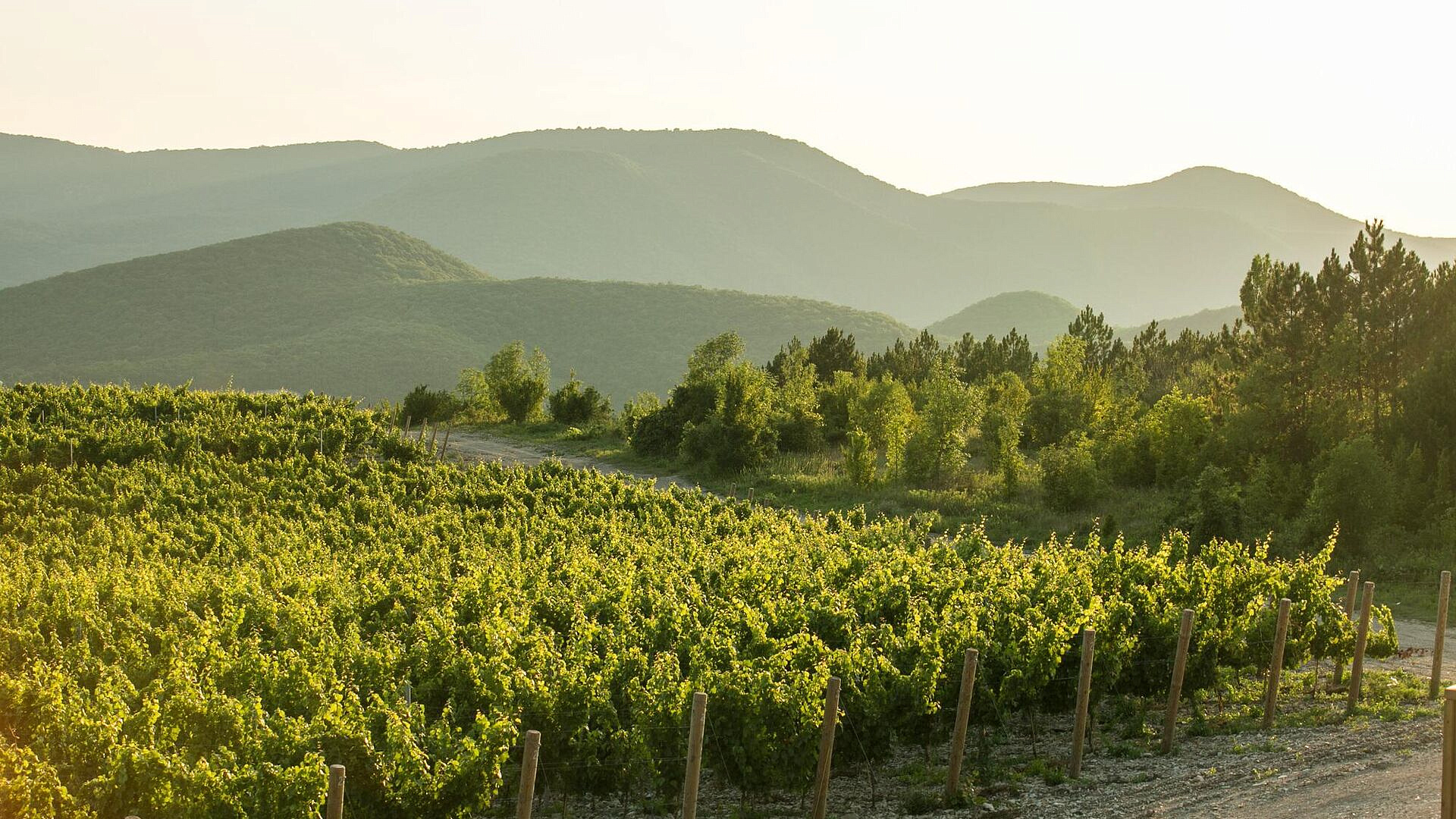 ��������� � ������������ �����-����� ��� ���������, �������� � ��������