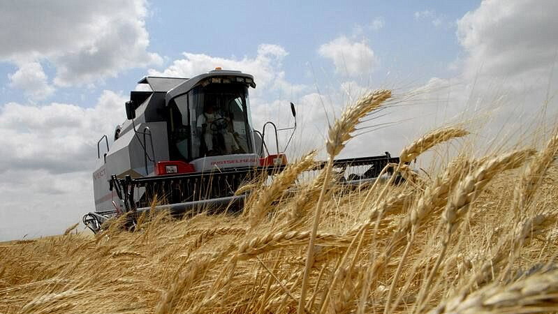 Власти рассказали о росте экспорта зерна из Ростовской области