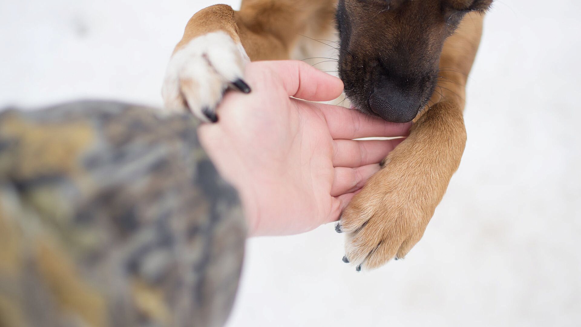 � ������������ ������� ������ ��� ��� ��������� ������������ �������