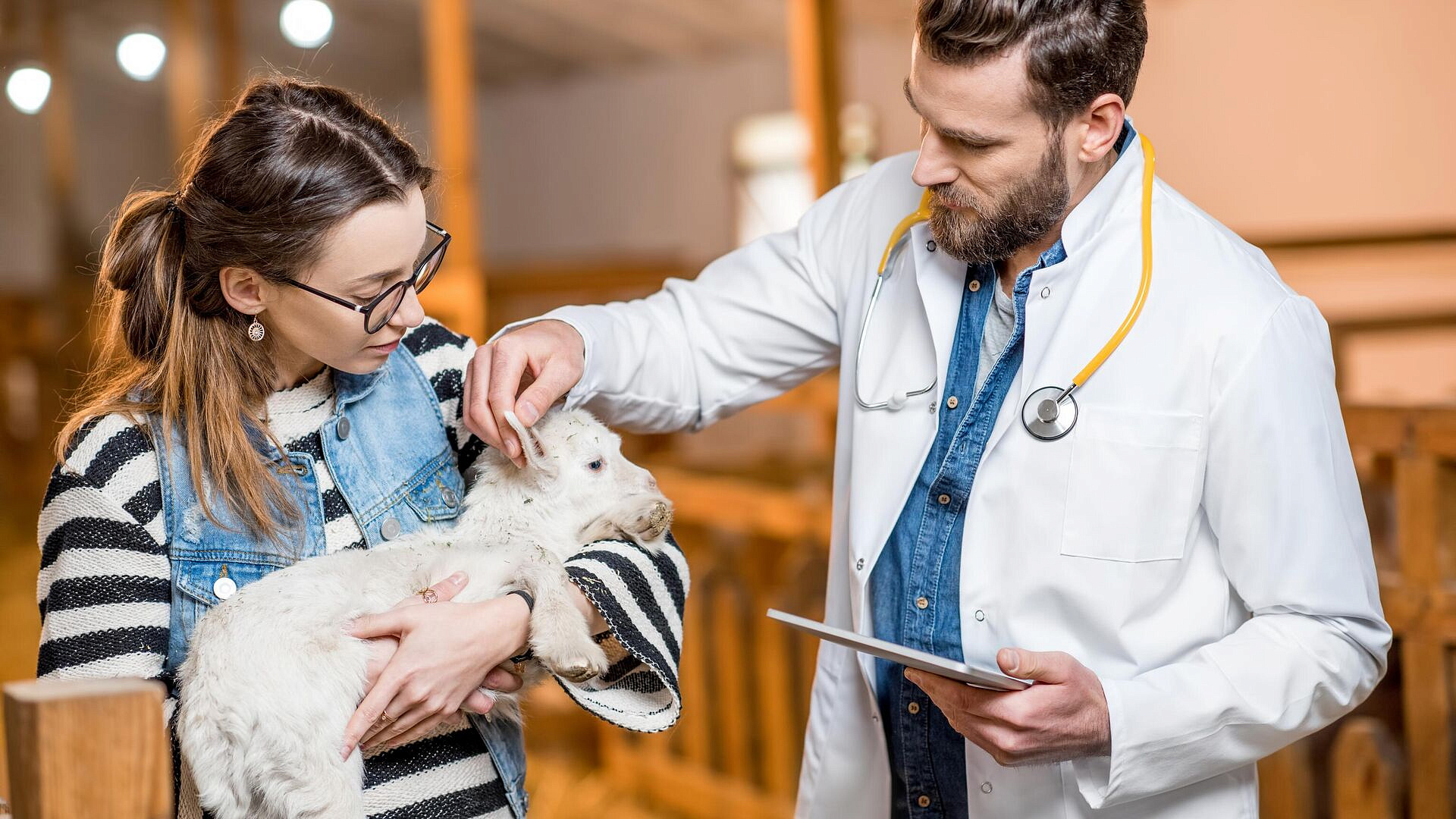 В России могут ввести ответственность за нарушения в ветеринарии