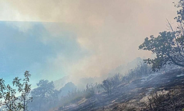 В Анапском участковом лесничестве увеличилась площадь пожара 