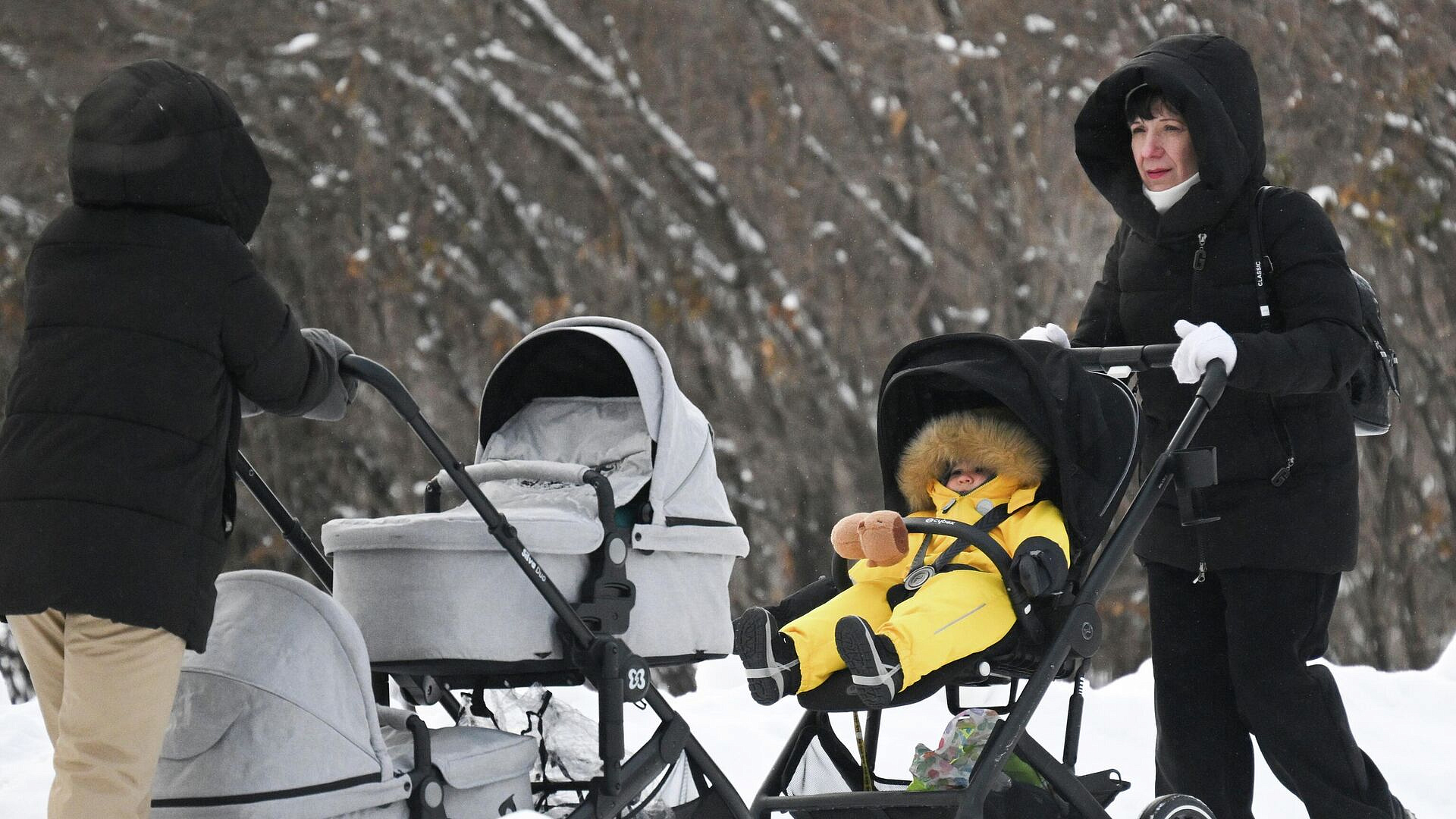 � ������� ���������� �������� ��������� ������ � ��������� ��� ���������