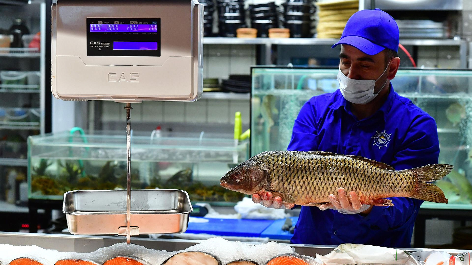 Более 7 тысяч исследований рыбной продукции провели в Московской области