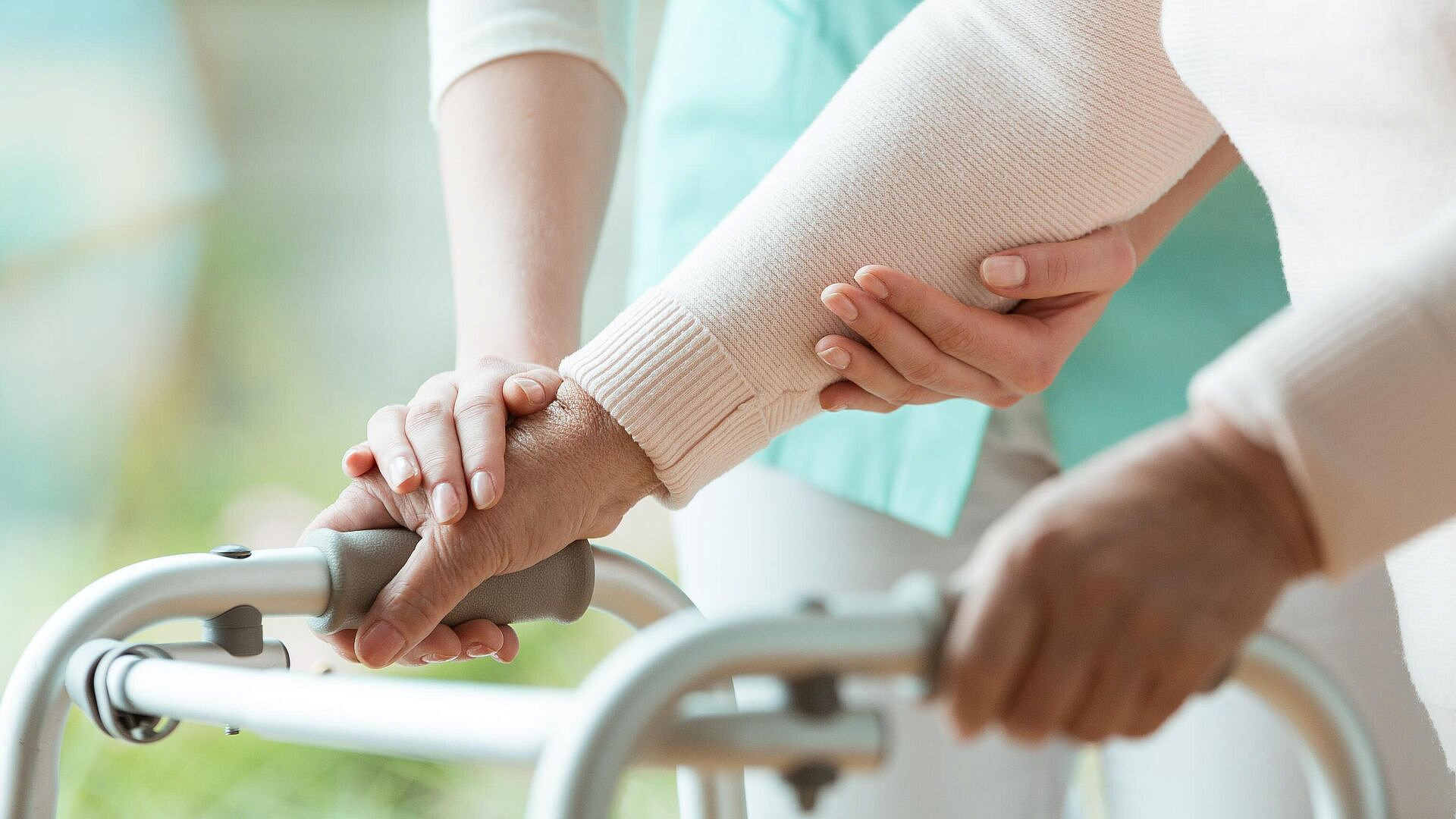 ���������, ������� ���� �������, ���������� � �������� ������� � �������