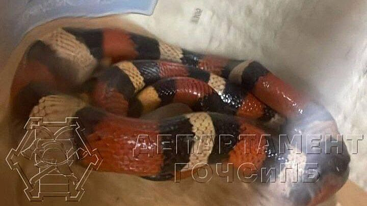 ��������� � ���������� ����� ���� ������� � ����� ������������