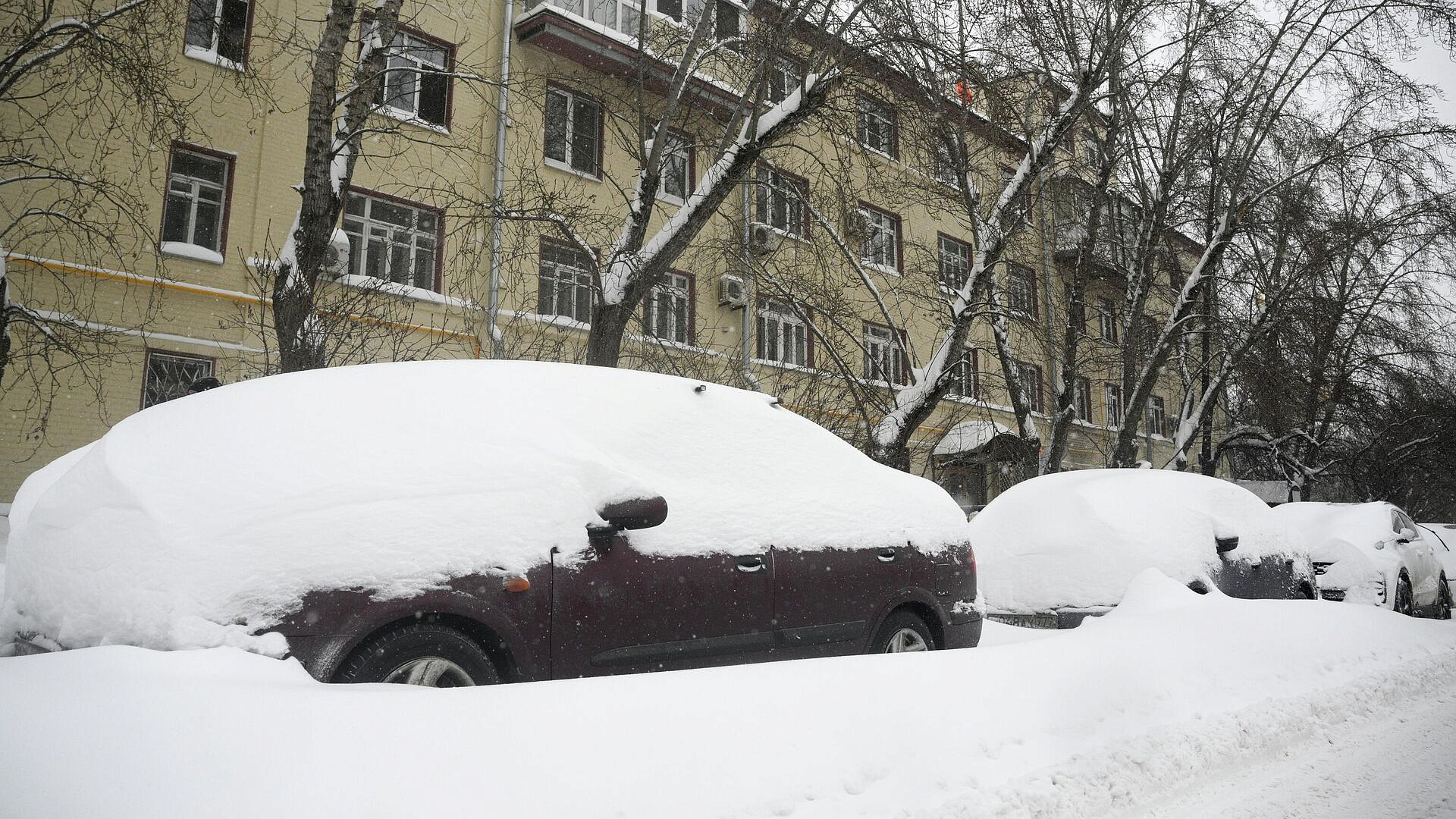 ������� ����������� ������� ������������ � ������� �� ����� 25 ��������