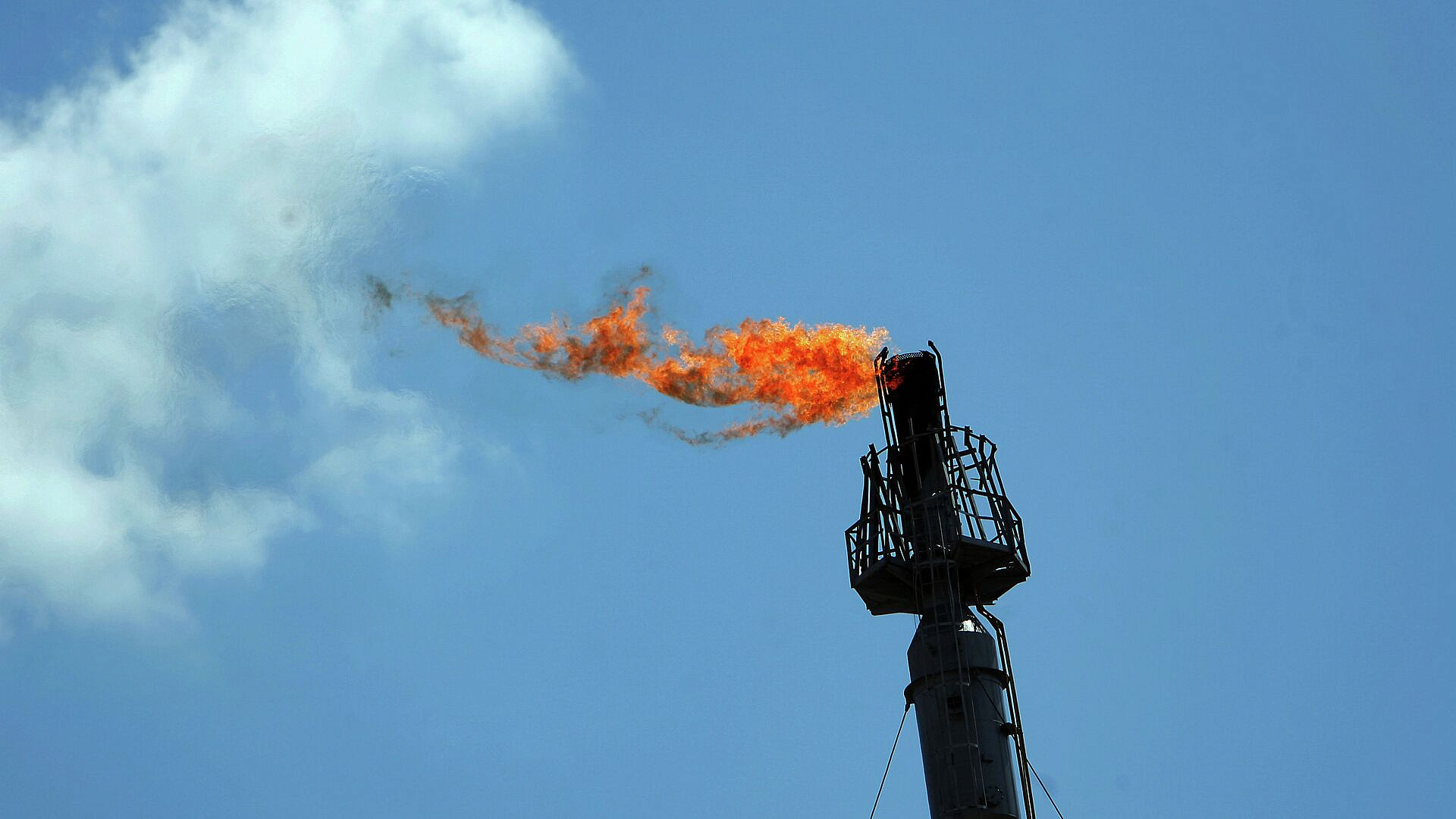 ������ � ������� ���� ������� ���������