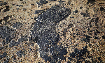 В Анапе начали вывоз нефтепродуктов