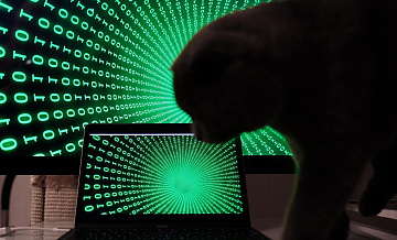 В Роскомнадзоре рассказали о росте числа компьютерных и DDoS-атак