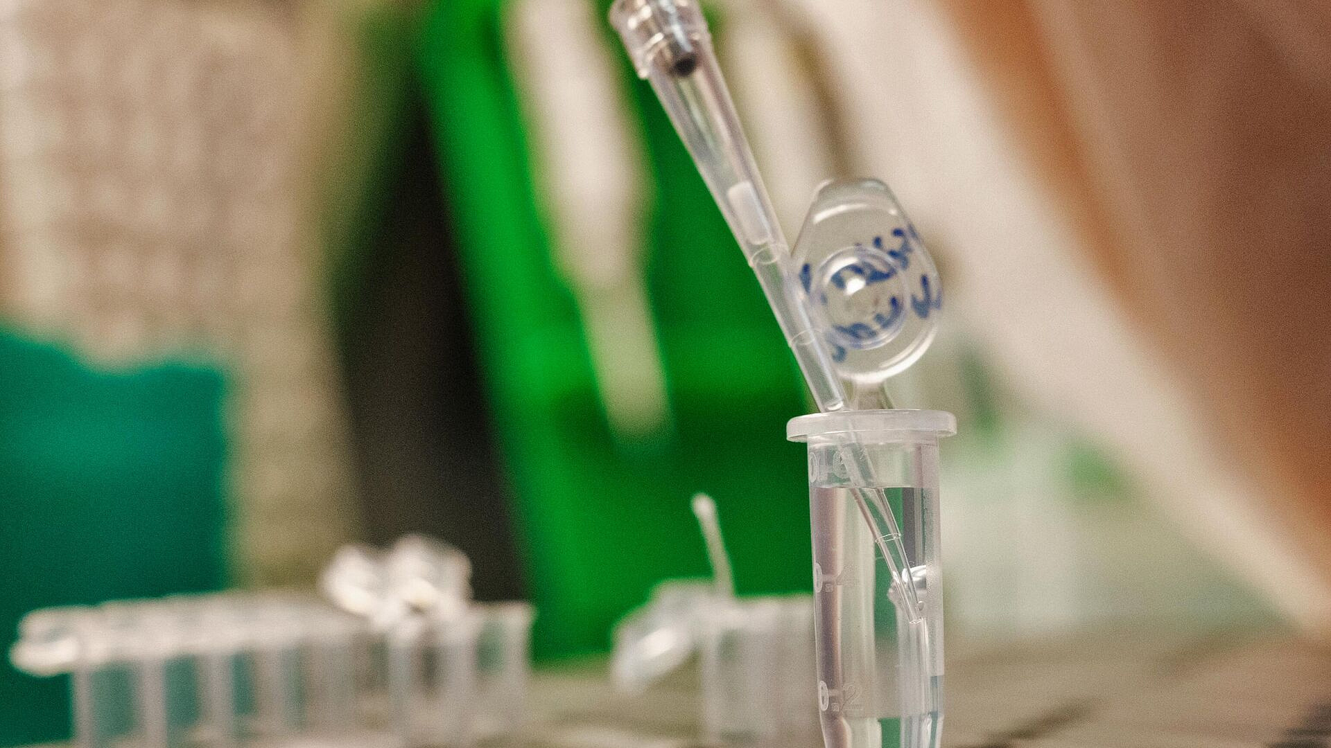 ��������������� ������ ����� ������ �������� ���� �� ���