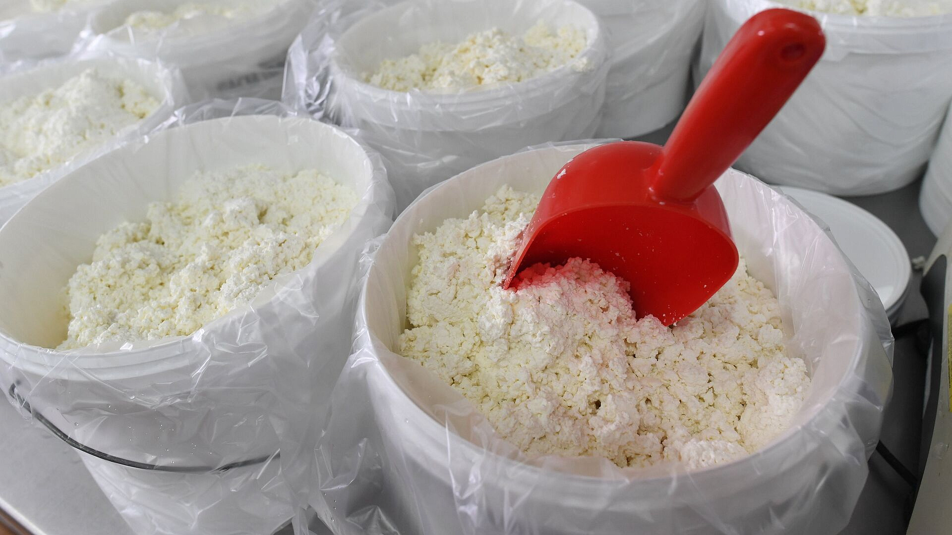 Объем производства творога в Подмосковье вырос на 3,4 процента