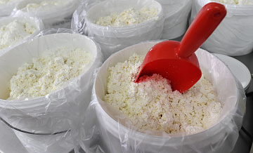 Объем производства творога в Подмосковье вырос на 3,4 процента