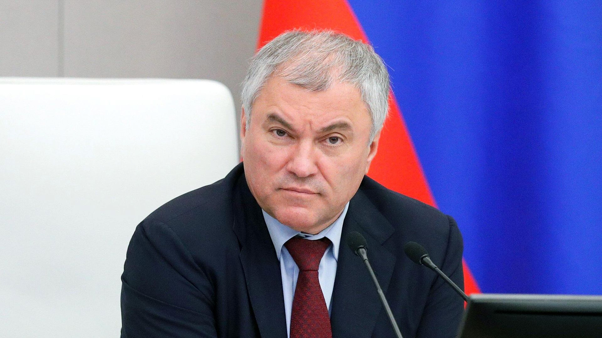 Володин рассказал, за что будут выдворять мигрантов из России