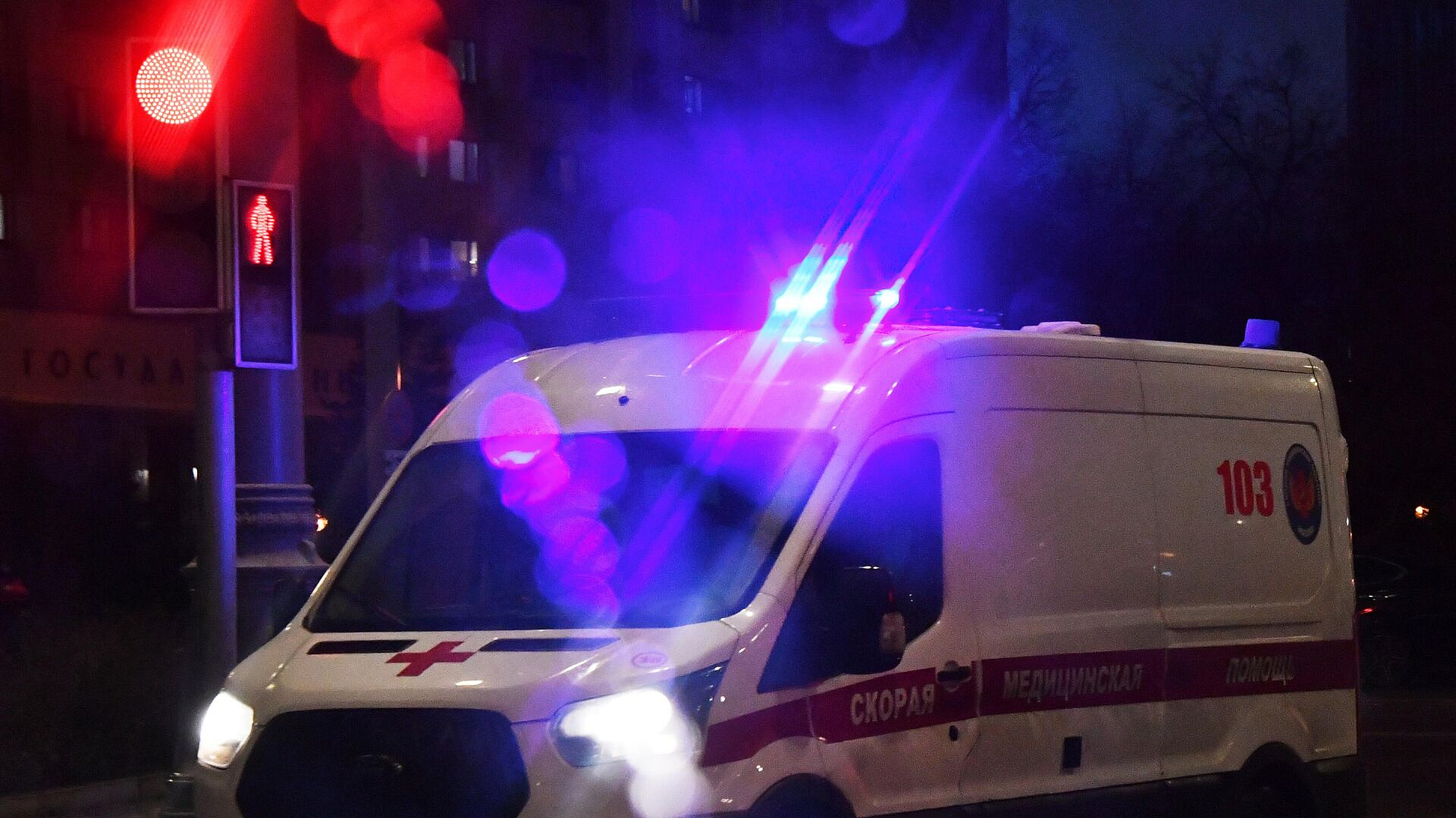 В Приамурье алабай напал на ребенка