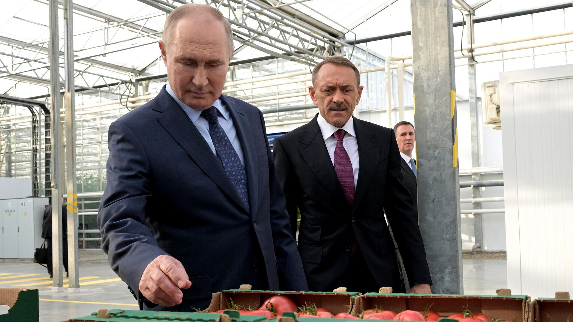 ���������� ���������������� �������� ������, ������ �����