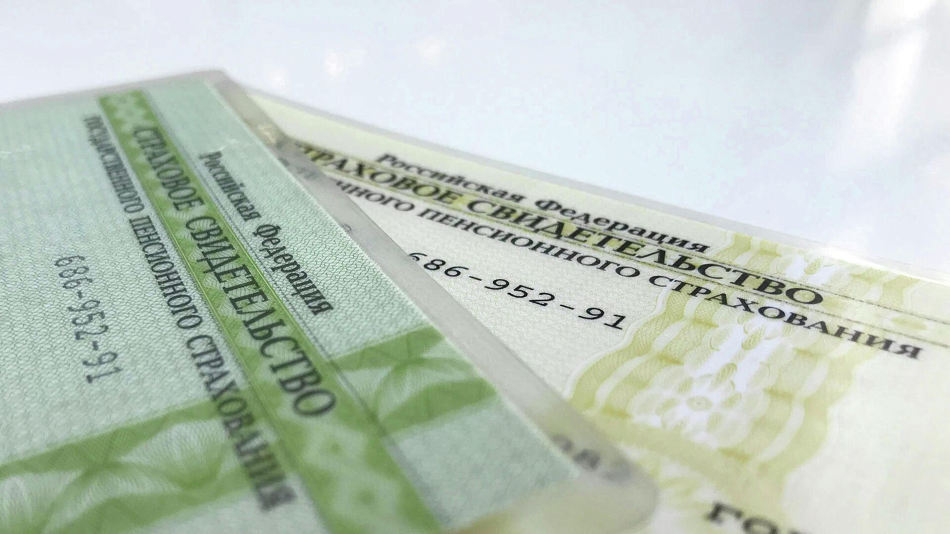 Эксперт раскрыла, что мошенники делают с чужими номерами СНИЛС