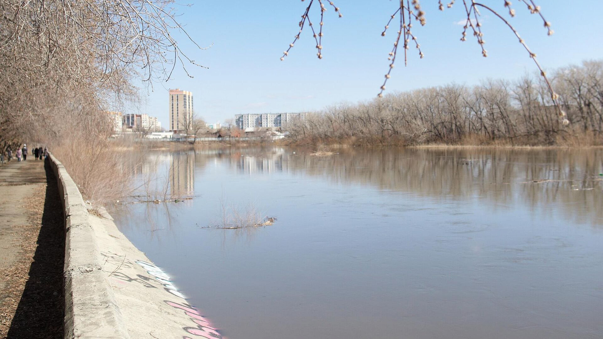 ������� ���� � ������ ������ ���������� ������� �������� ������ ������