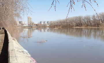 Уровень воды в районе Кетово Курганской области превысил десять метров