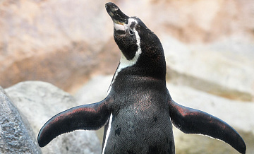 ������� ���������� ������� ������ �� ���������� � ���������� �����������