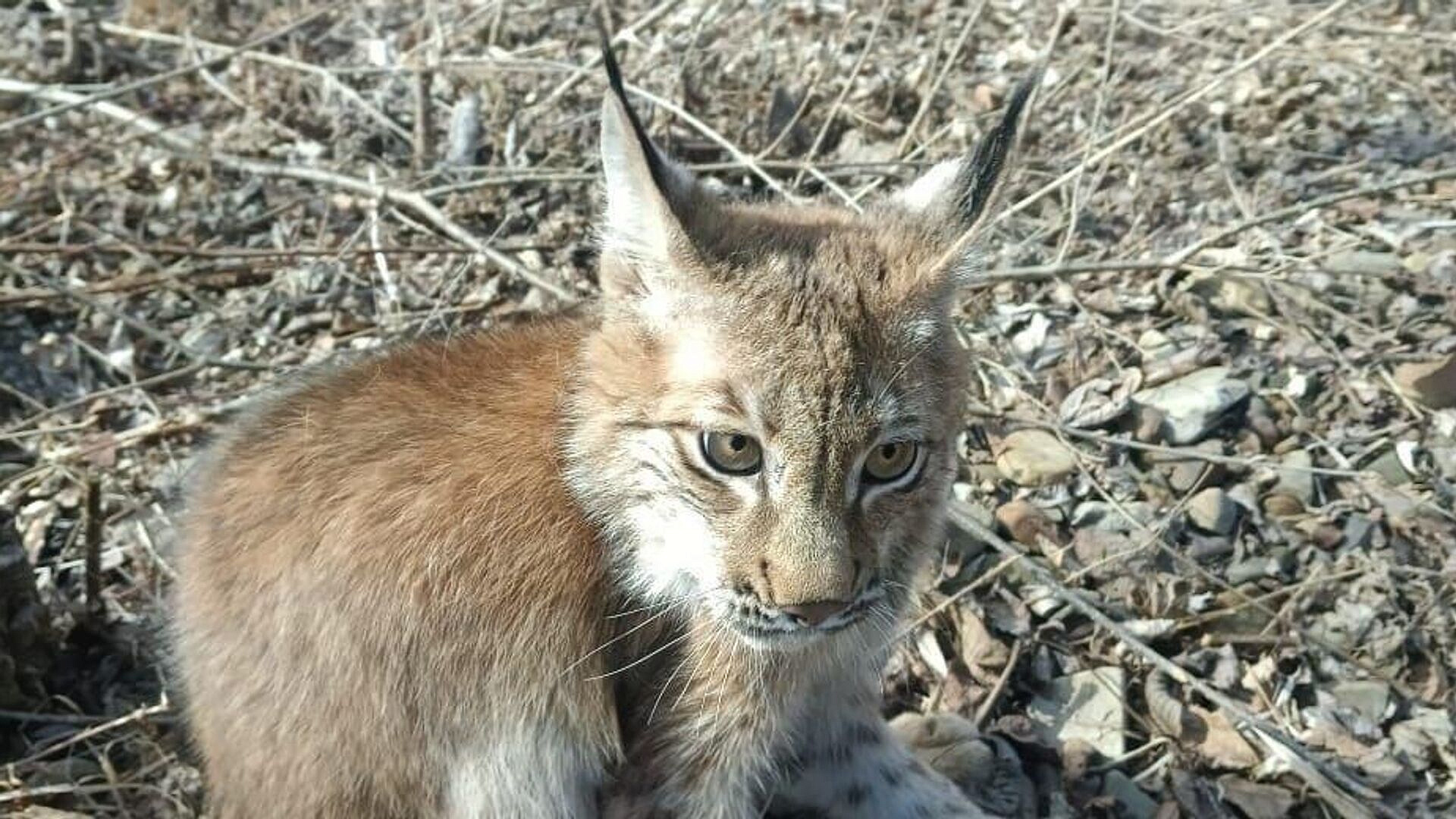 ������� ����, �������� ������ � ��������, ����� �������� �� ��������