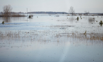 Вода в реке Тобол в Кургане дошла до ступенек набережной