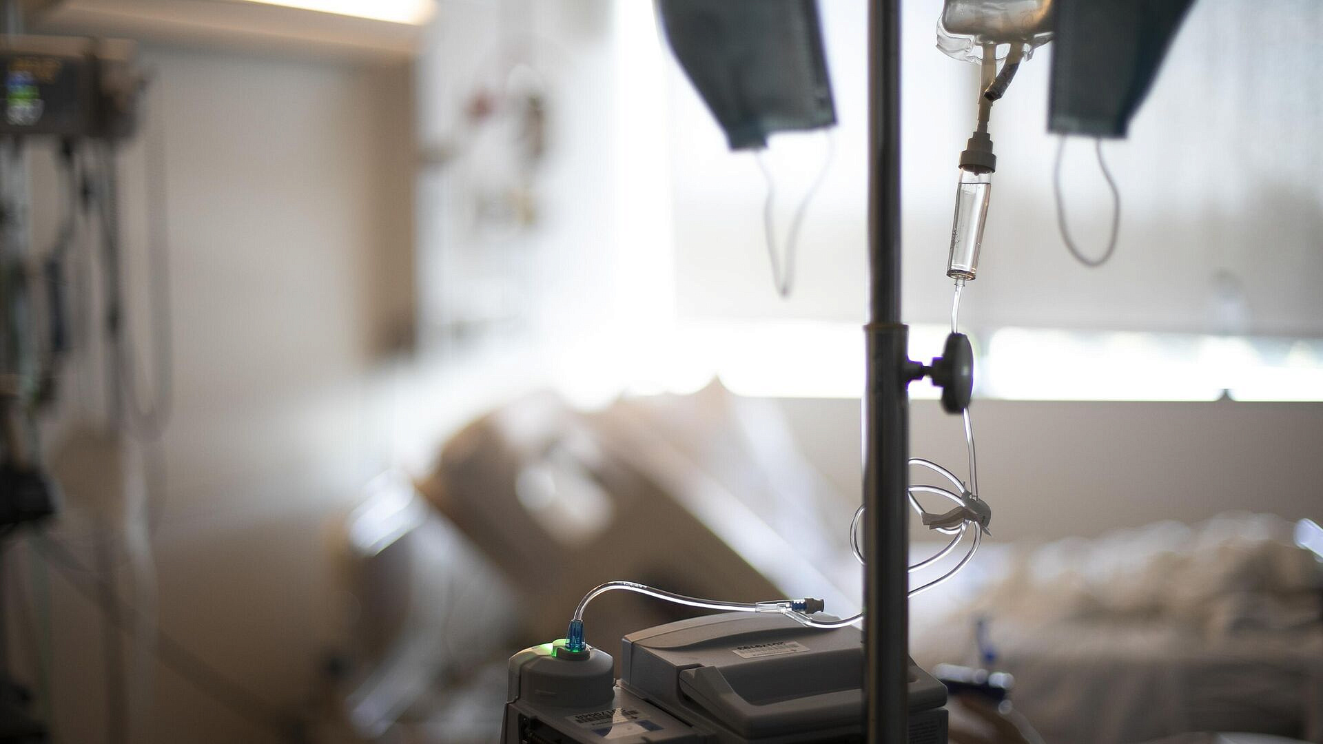 В США зафиксировали первую смерть от птичьего гриппа H5N1