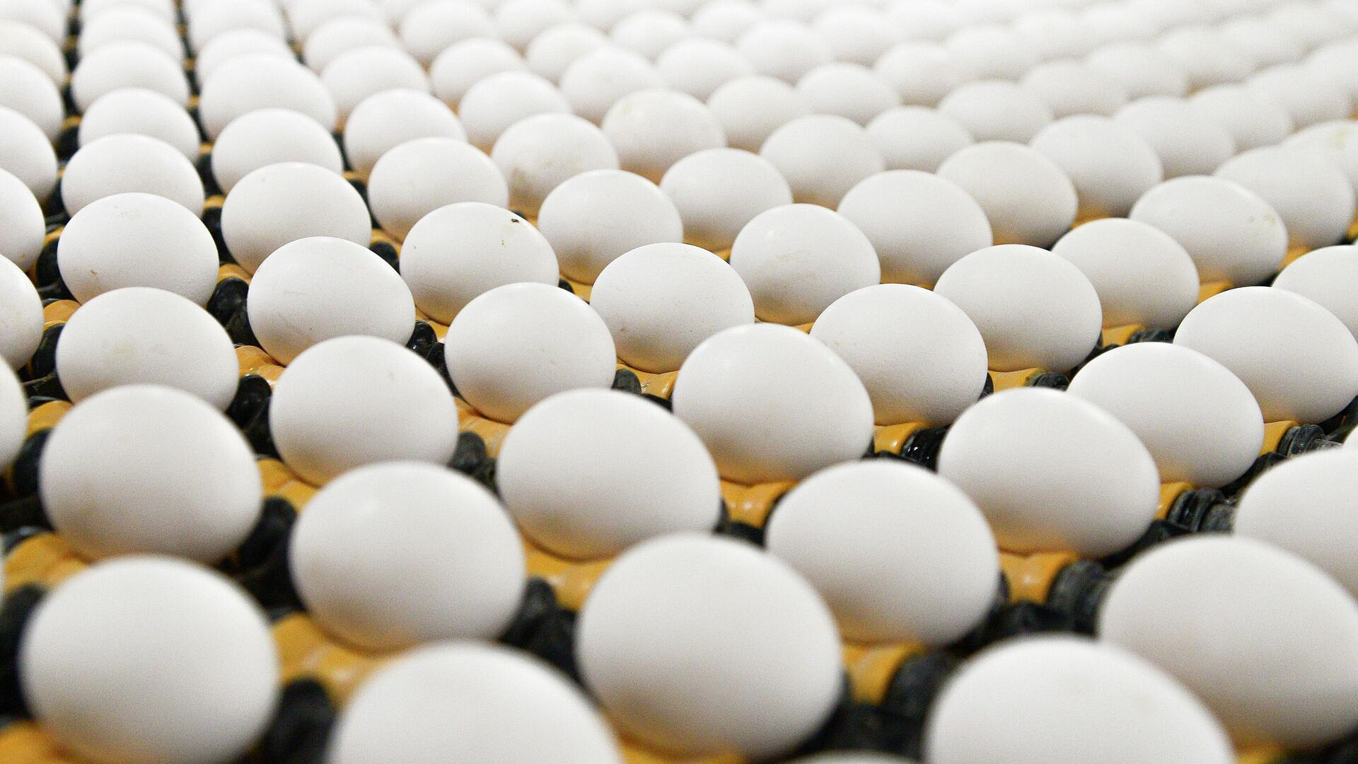 ФАС следит за ценами на куриные яйца