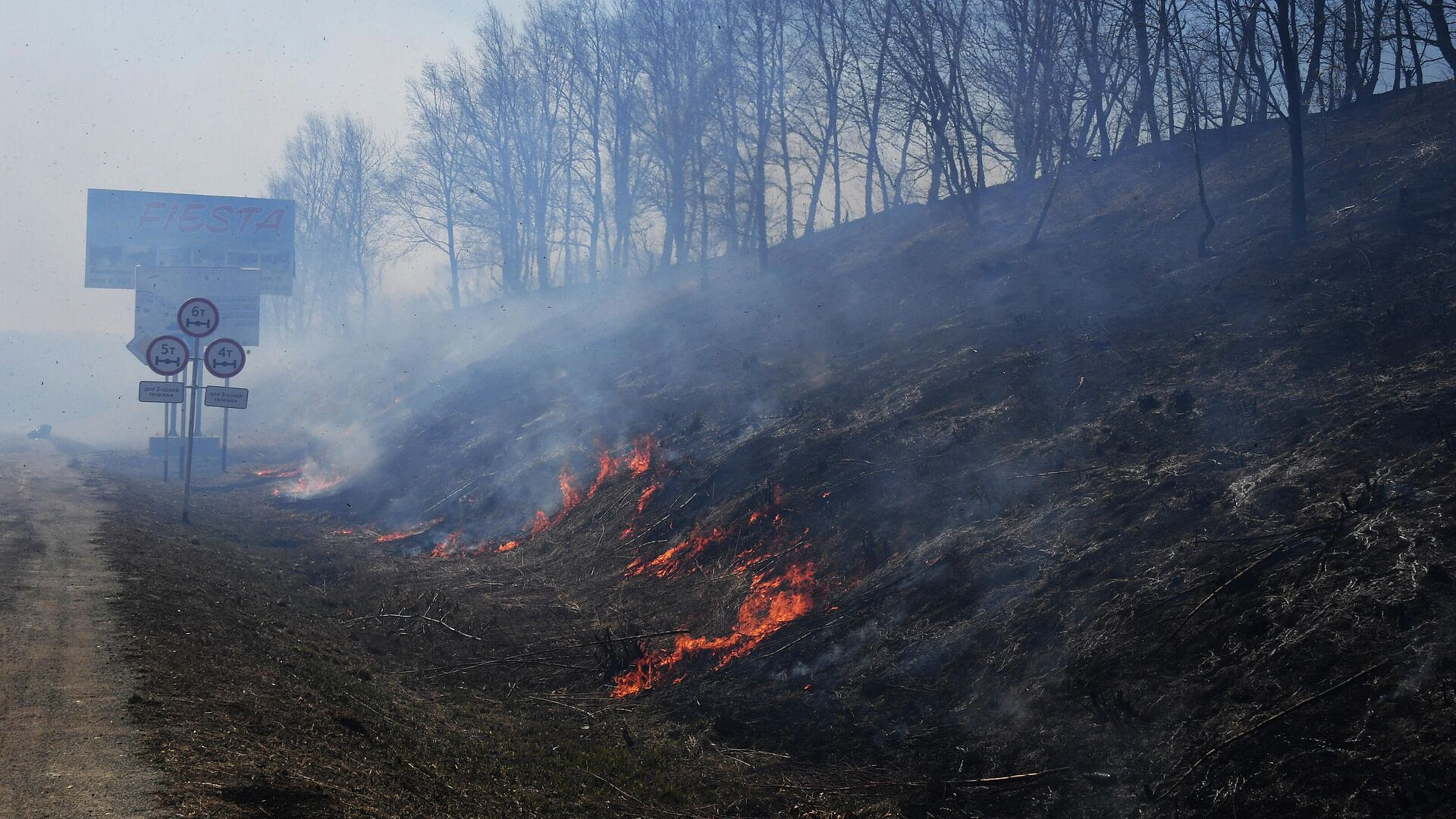 В Приморье пожарные тушат пал сухой травы на площади 21 гектар