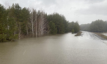 МЧС спрогнозировало подъем воды в Тоболе у Кургана в ближайшие два дня