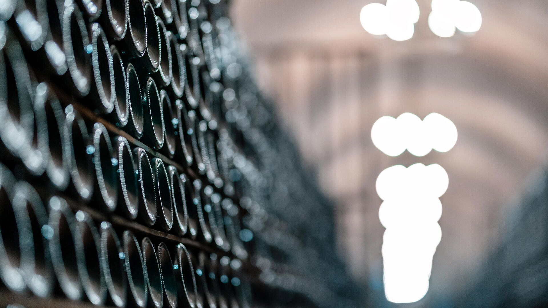 �� ���� ���������� ������ ������ "������� ������ ������"