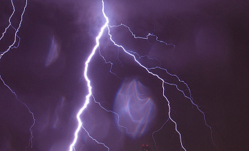 В Башкирии табун лошадей погиб из-за удара молнии