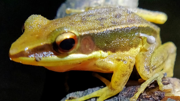 ����� �� ����. ��������� � ���� ���� ��������� ������