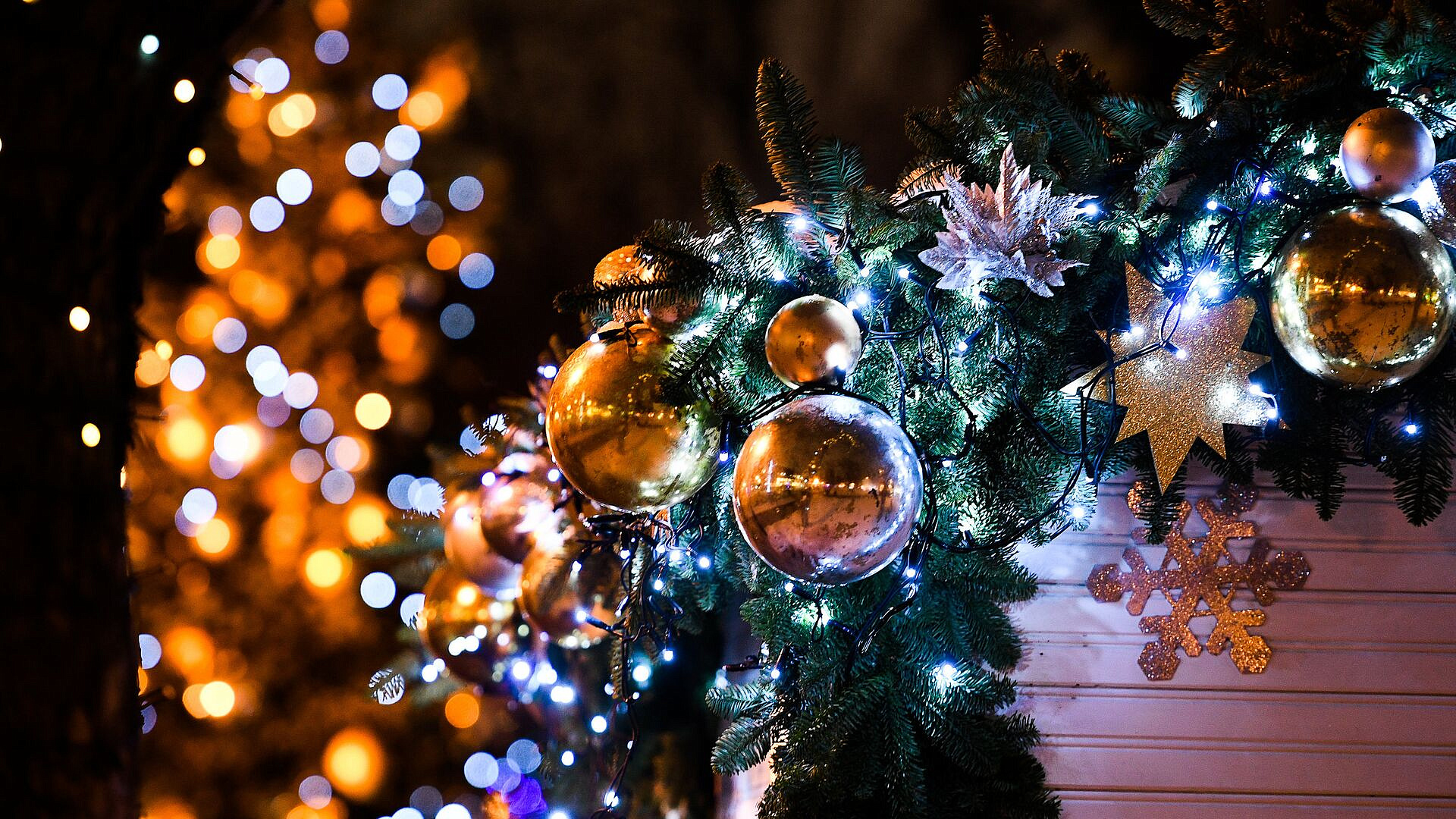 ������� ������������ � ������ �� ��� � ���������� ����