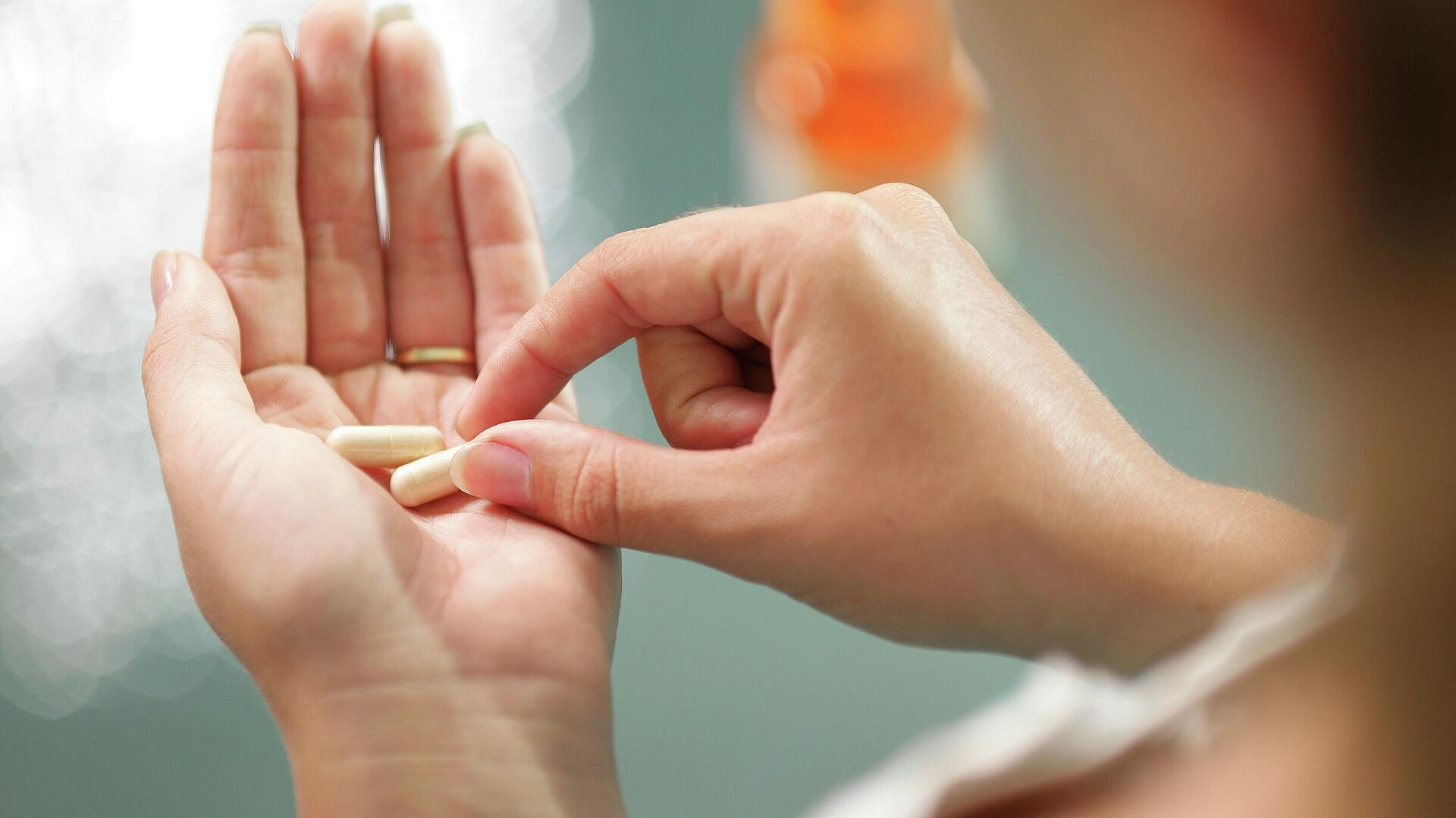 ������� ������ �������� "��������"