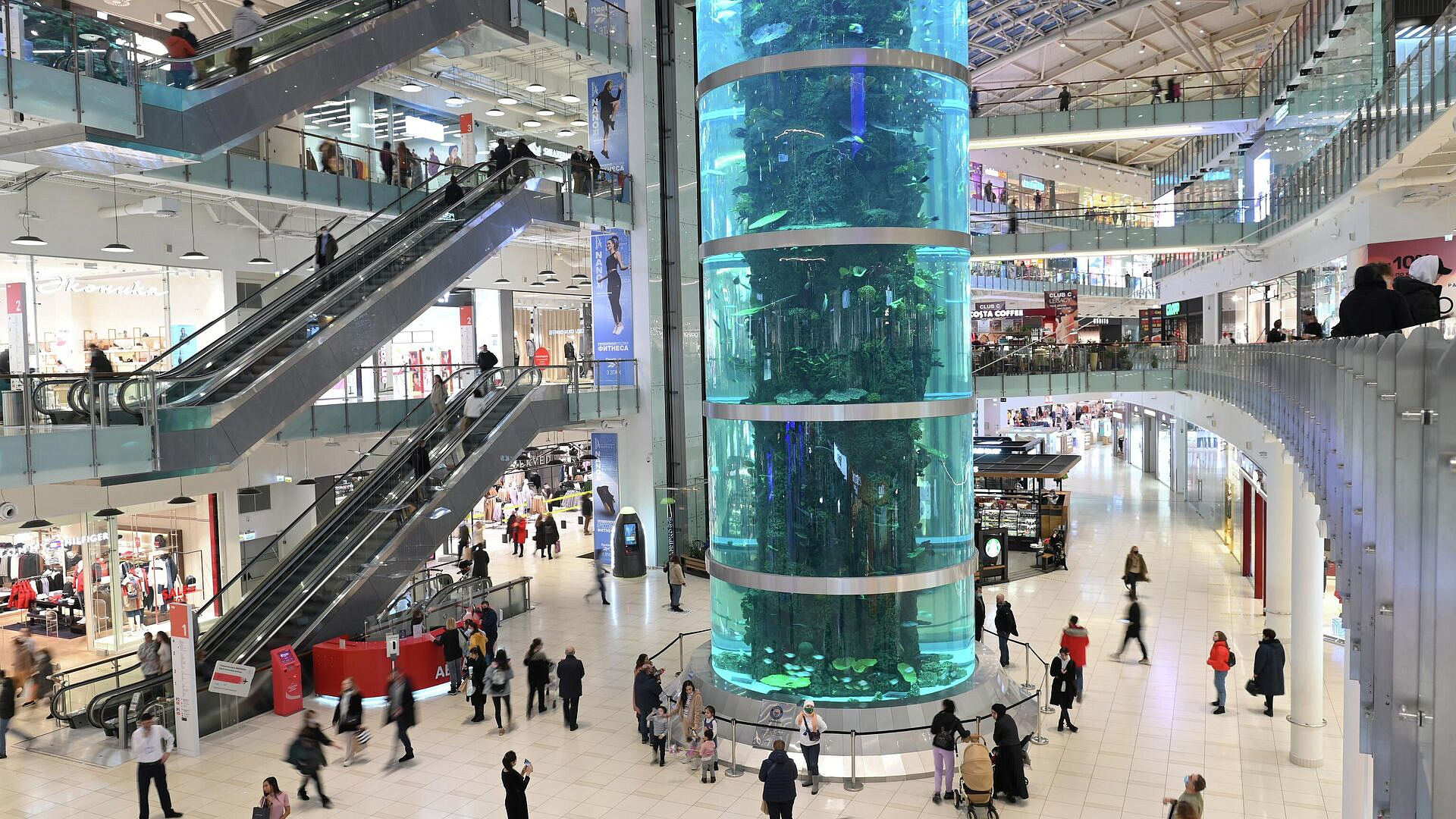 � ���������� �� "��������" ����������������� ����� � ������� � ������