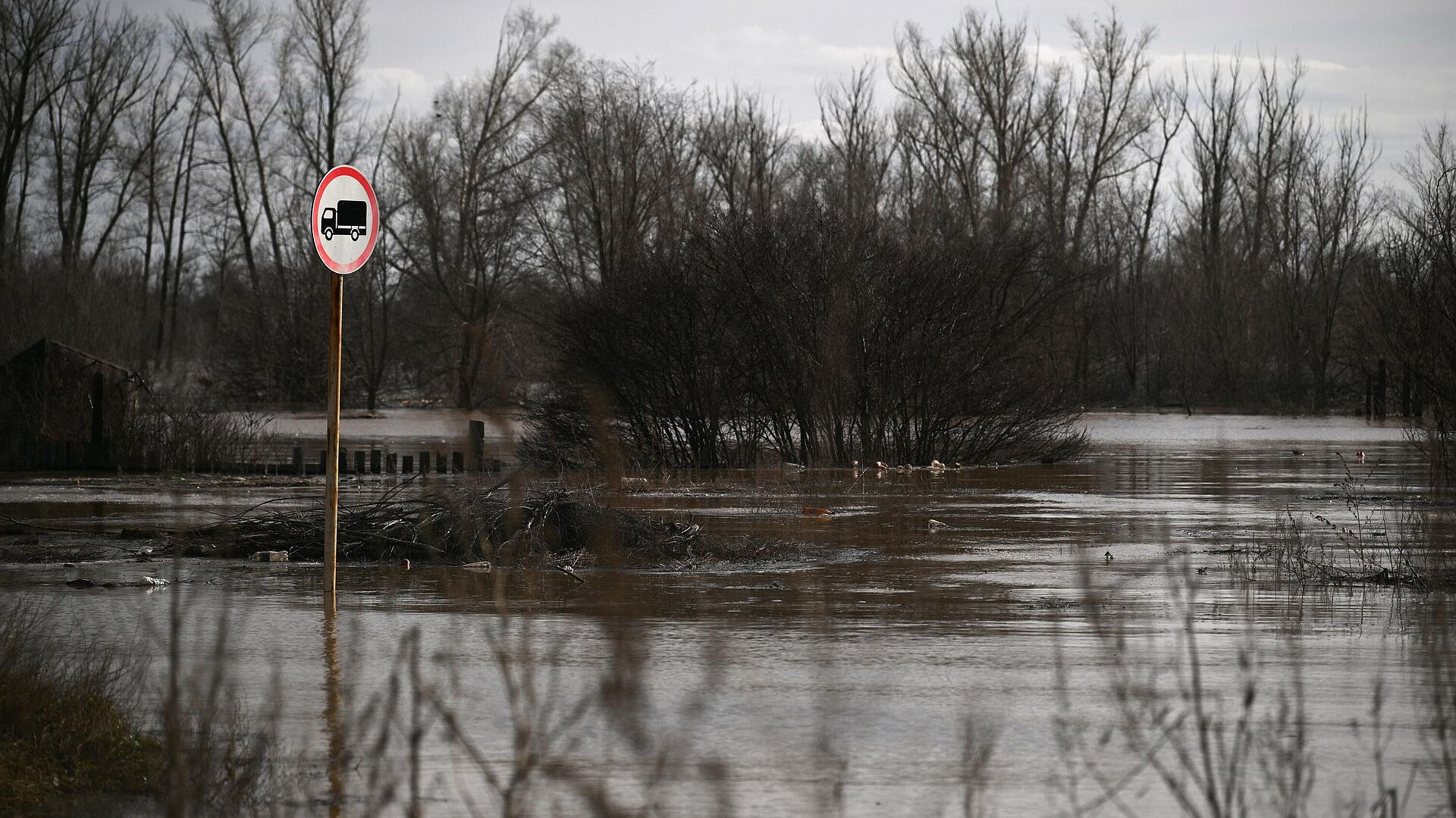 � ���������� �������������� ���� ����� �������� ����