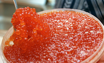 � ���������������� ����������, ����� ���� �� ����� ��������