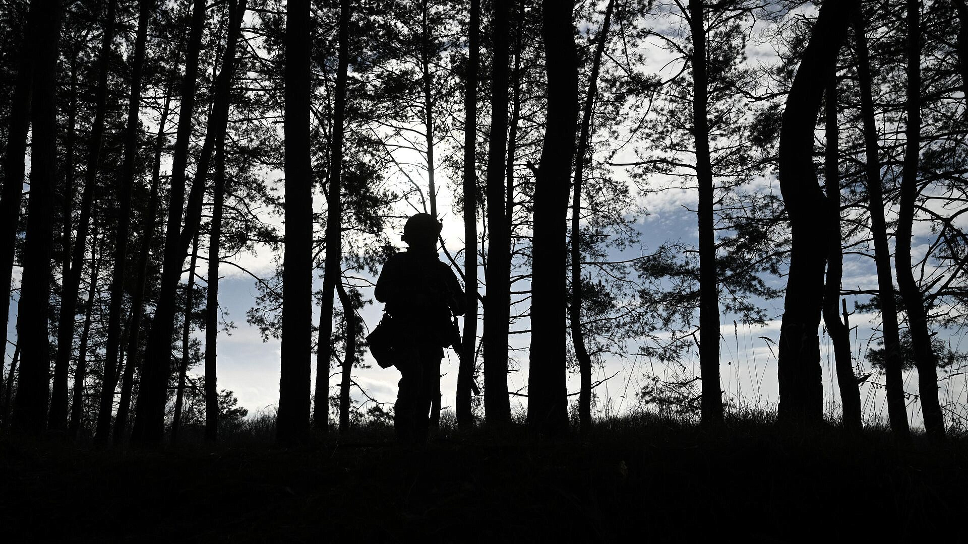 � ��� ����������, ����� ������ ��������� ���� �� ��������������� �������