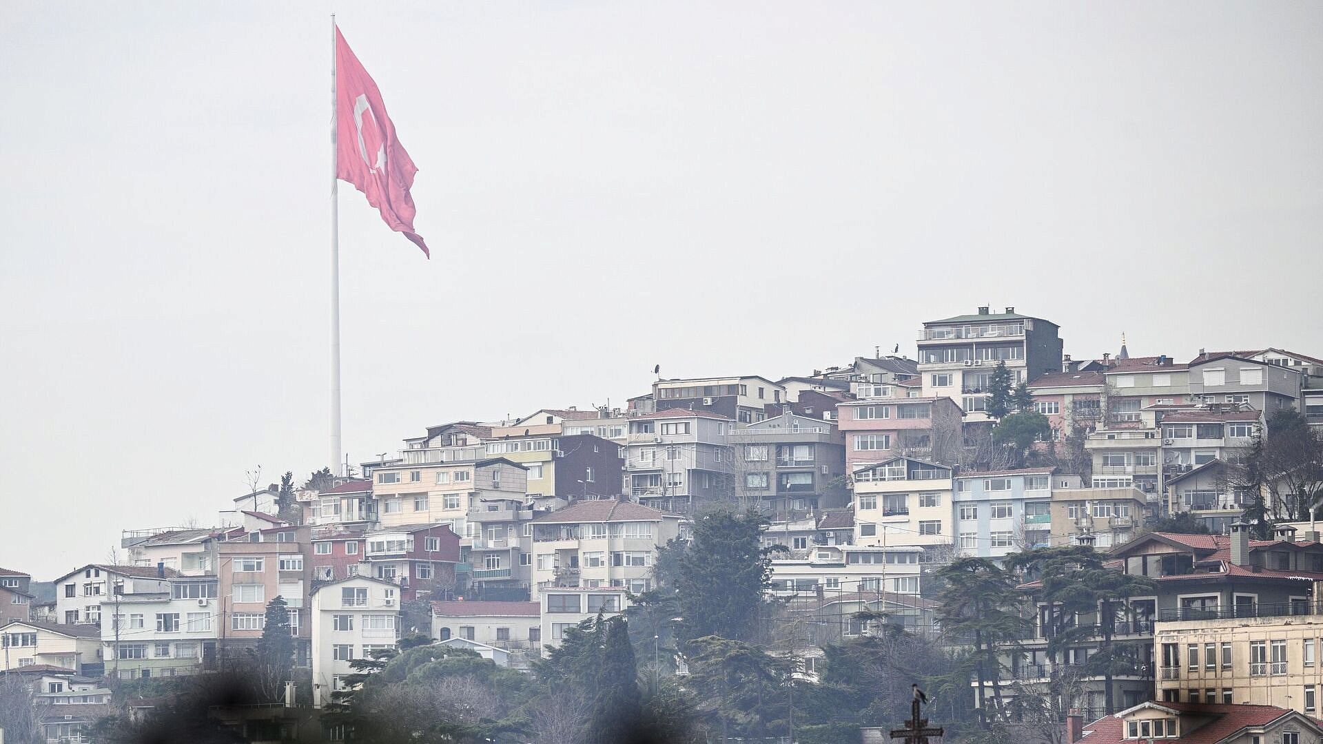 ������ ��������� ������ ����������� ����� ����� ��� �� �����