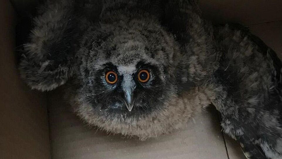 � ������ ��������� ������ � ���� ���� ������ ������� ���