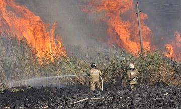 Лесной пожар в Ростовской области локализовали