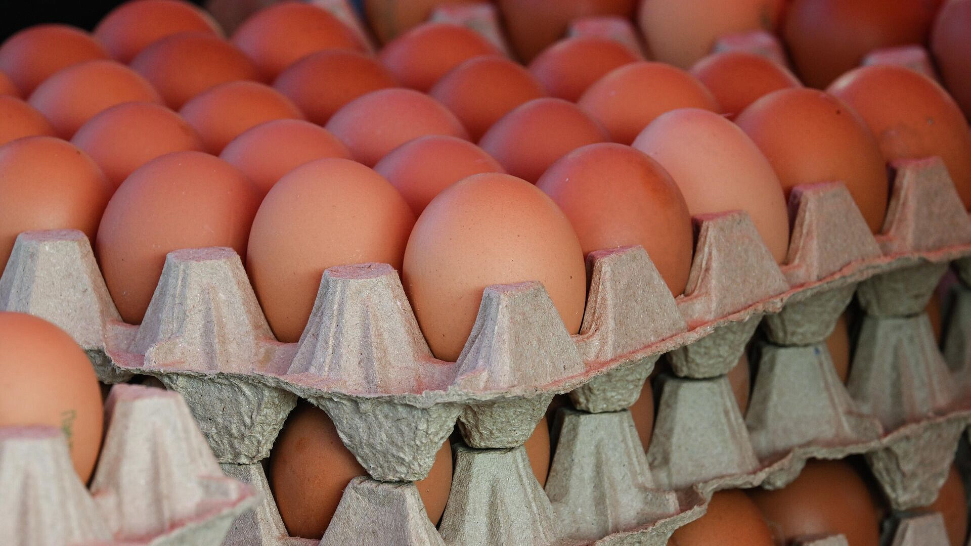 ���������� ����������� ������� ����� ���� ����� ������������ ���