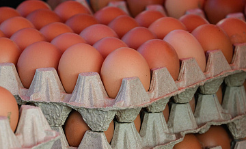 ���������� ����������� ������� ����� ���� ����� ������������ ���