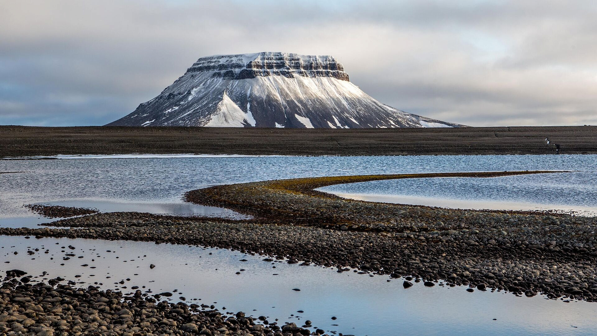 Российские ученые нашли "невидимых санитаров" Арктики