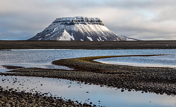 Российские ученые нашли "невидимых санитаров" Арктики