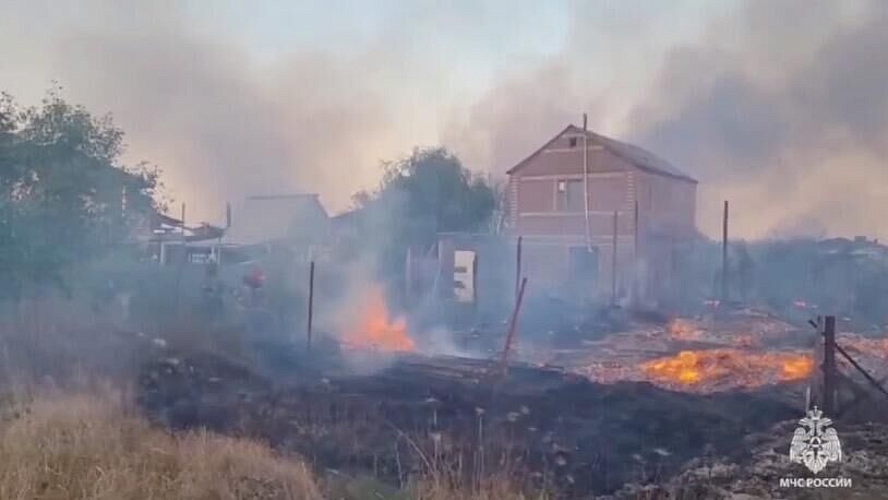 ����� � ������������ ���� ����������� ������ �����������, ������ ����������