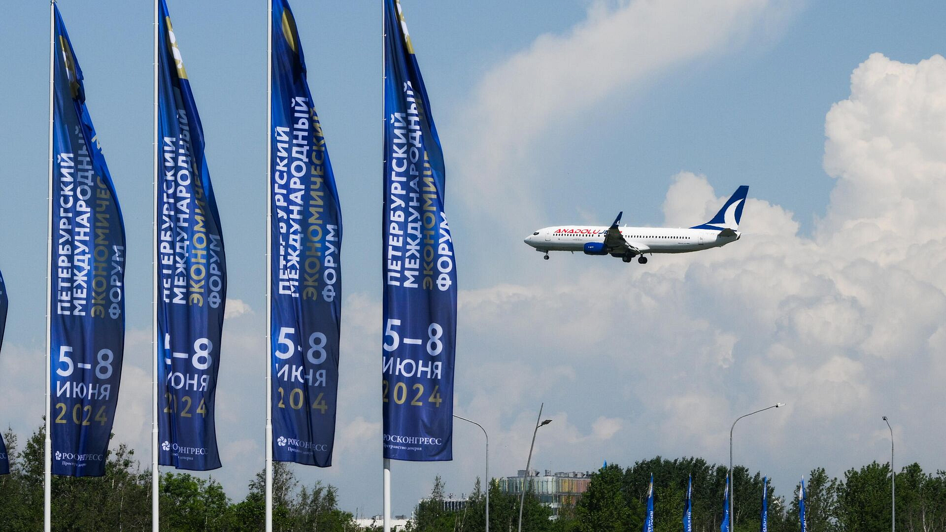 �������� ������ ������� ������ �������� ���� �����������