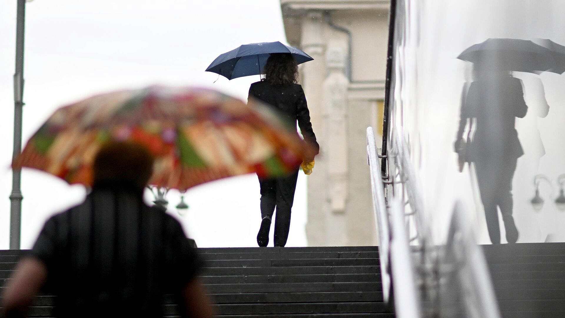 В отдельных районах Москвы выпало более 40% месячной нормы осадков