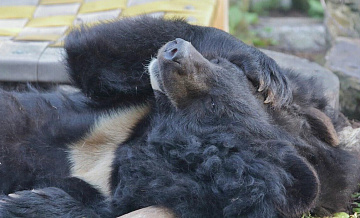 В калининградском зоопарке за неделю умерло сразу четверо "старожилов"