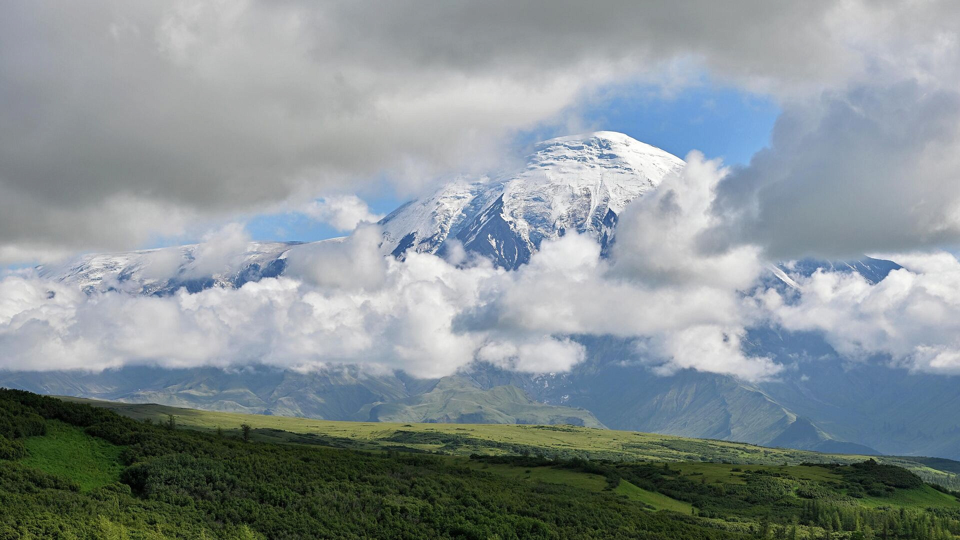 �� �������� �������� ������ ������